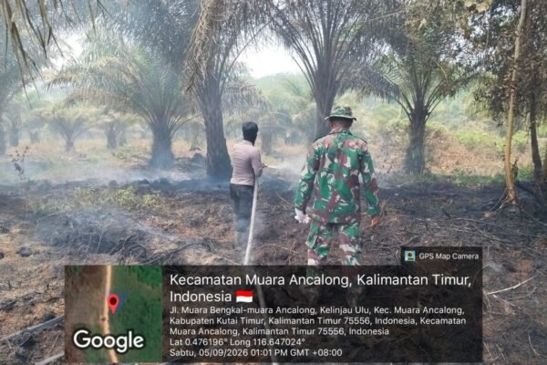 Tim Gabungan TNI-Polri dan MPA Kendalikan Karhutla di Kelinjau Ulu, Dampak 5 Hektare
